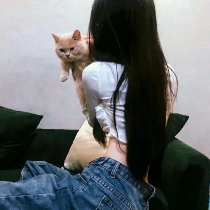 黑帮女婿